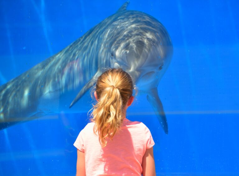 Cattolica’s Acquarium: marvels of Ocean life!